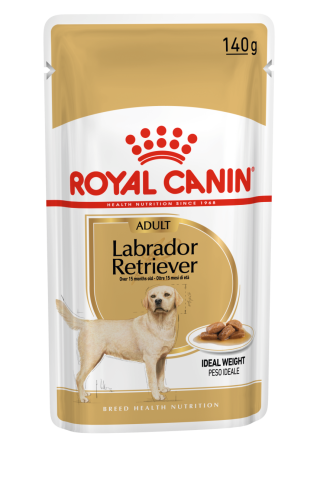 Labrador Retriever Adult (in gravy)